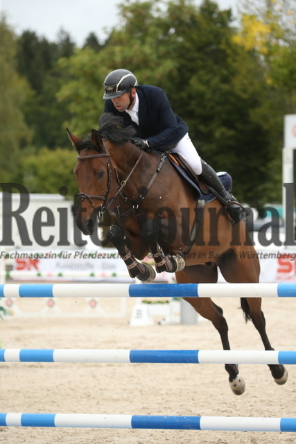 Villingendorf_2022_Prfg.Nr.08_zwei Phasen_Springprfg.Kl.M_Youngster_Adrian Schmid_Pumbaa 7 (2) | Alle Fotos der Reiterjournal Fotografin Doris Matthaes im Reiterjournal Online-Fotoshop. - Realisiert mit Pictrs.com