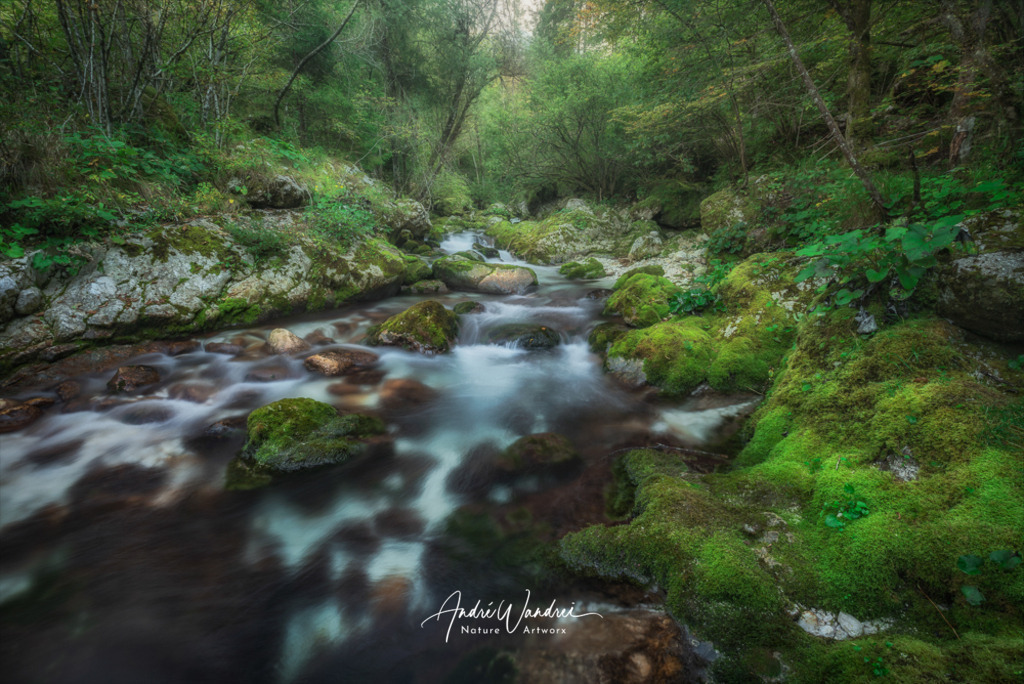 Fluss ins Grüne | Andre Wandrei - Nature Artworx - Realisiert mit Pictrs.com