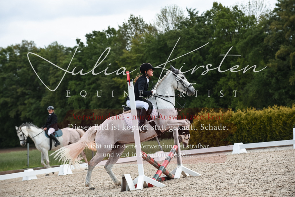 20230518_JK-Röhrsdorf-10-230 | Pferde- und Turnierfotografie in Westsachsen. Pferdeportraits, Auftragszeichnungen und intuitive Kunst.
