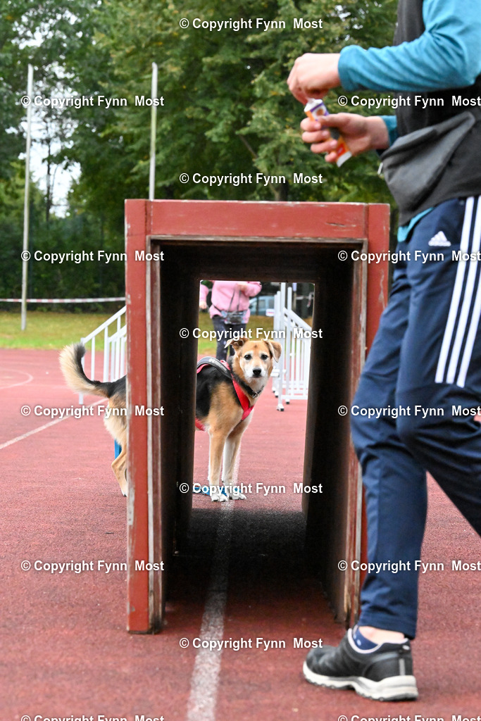 DSC_5177 | Hallo und herzlich Willkommen auf meiner Shop-Seite Fynn Most.

Ich wünsche Dir viel Spaß beim stöbern durch die Bilder, wenn Du Fragen hast oder Bilder vermisst, kannst du mir gerne eine Nachricht schreiben. - Realisiert mit Pictrs.com
