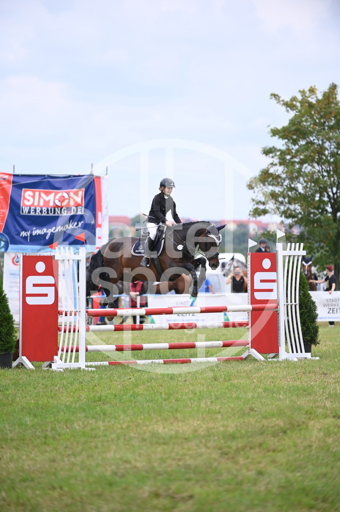 DSC_1183 | sattelsport - Realisiert mit Pictrs.com