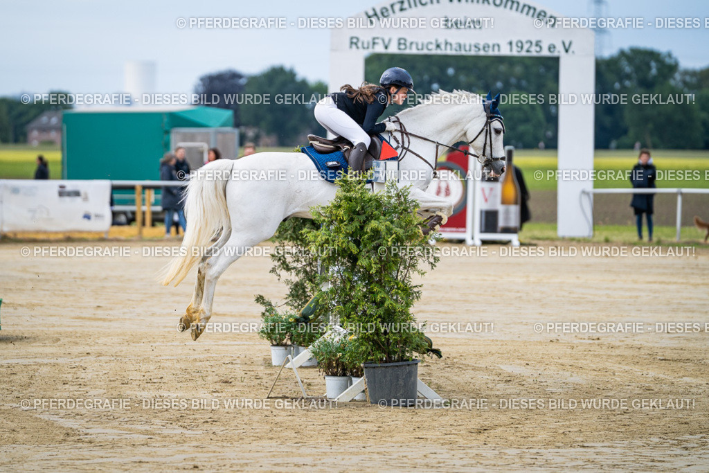 DSC03276 | Pferdegrafie