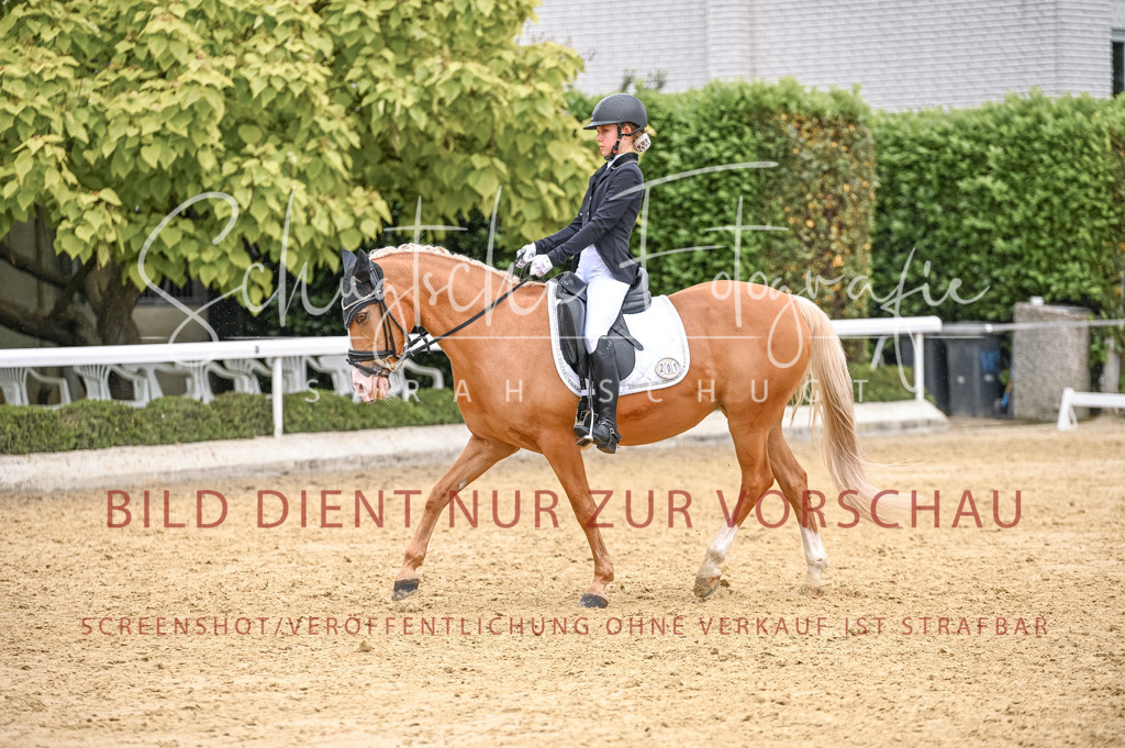 Schugtsche-Aluta25-41.Amat-Dressurprf.A_-548 | Schugtsche Fotografie - Realisiert mit Pictrs.com