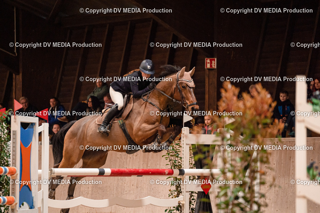 Springen Tag 2-750 | dv-media-shop - Realisiert mit Pictrs.com