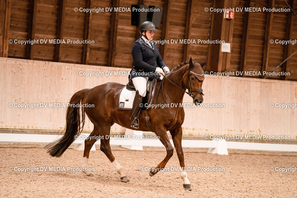 Dressur Tag 2-31 | dv-media-shop - Realisiert mit Pictrs.com