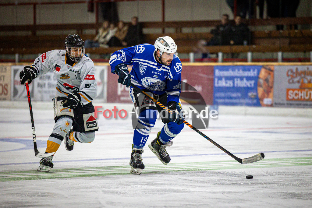 SC Forst NATURE BOYS gegen WANDERERS Germering | Eishockey Landesliaga Herren Gruppe A 2024/2025, SC Forst NATURE BOYS gegen WANDERERS Germering, 20241025,Matthias MÜLLER (Nature Boyz 19) in Aktion,2024-10-25 in Peißenberg (Eisstadion Peißenberg), Matthias MÜLLER (Nature Boyz 19), Dennis STURM (WANDERERS Germering 79)Copyright: WolfgangxLindner www.foto-lindner.de