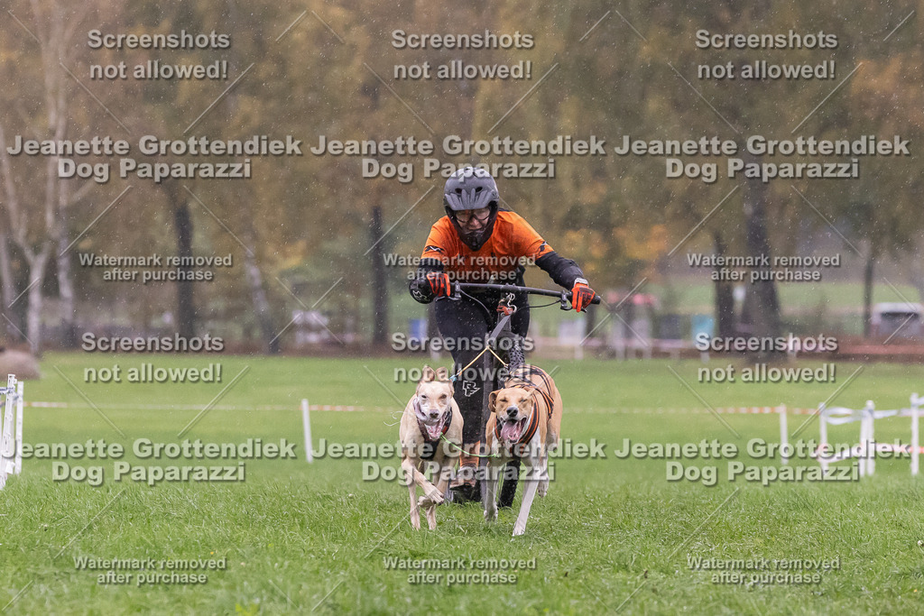 Dog Paparazzi - SD CaniX Championship 2025-879 | Dog Paparazzi Jeanette Grottendiek Fotografie & Videografie - Realisiert mit Pictrs.com