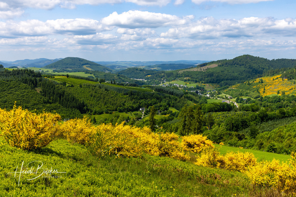 Juni | Bilder und Impressionen zu jeder Jahreszeit aus dem Sauerland im Naturpark Sauerland-Rothaargebirge - Realisiert mit Pictrs.com