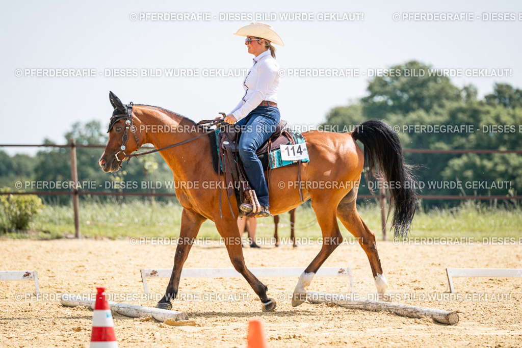 DSC00395 | Pferdegrafie