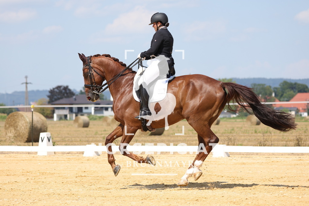 0P6A7394 | Willkommen bei Brunnmayr - Design & Fotografie – Ihrem Spezialisten für Reitturniere und Pferdeveranstaltungen in Oberösterreich, Salzburg und Bayern! Seit über 17 Jahren sind wir leidenschaftlich dabei.