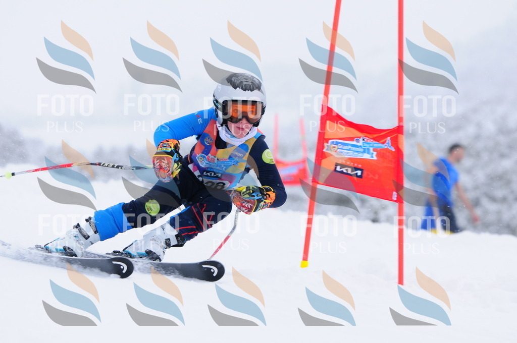 C2396 | holidayphoto