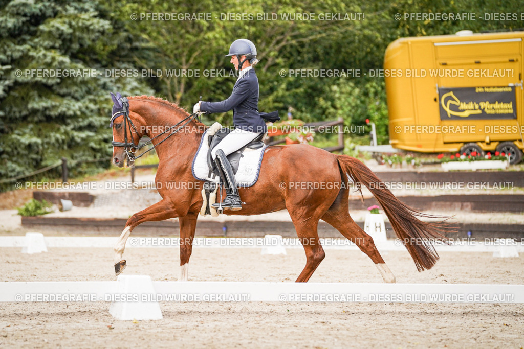 DSC09220 | Pferdegrafie