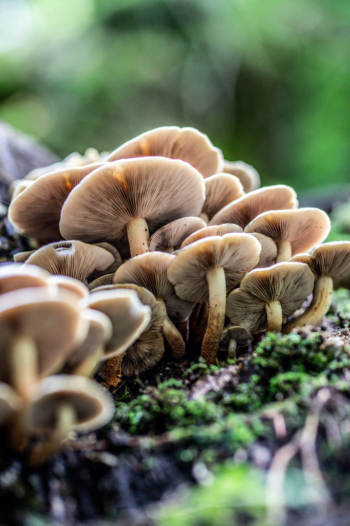 IMG_2065 | ehrlichefotos - Realisiert mit Pictrs.com