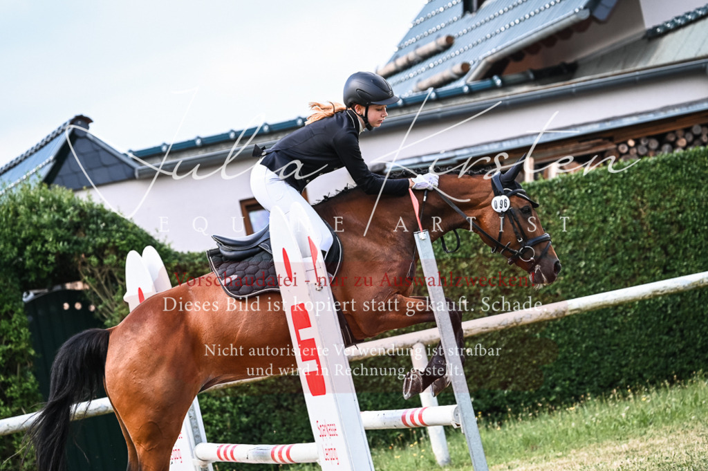 DSC_8482 | Pferde- und Turnierfotografie in Westsachsen. Pferdeportraits, Auftragszeichnungen und intuitive Kunst.