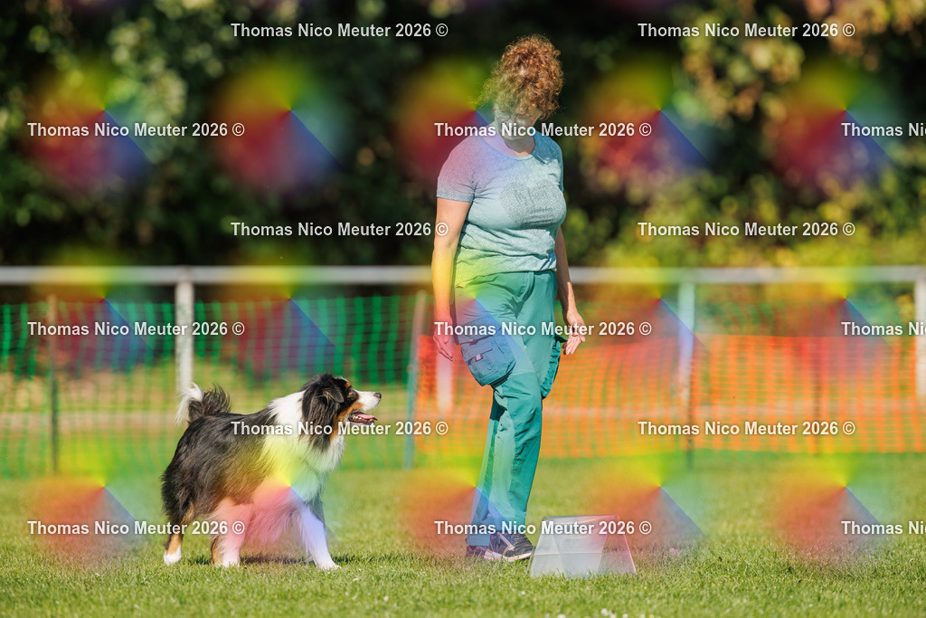 Thomas_Nico_Meuter(C)_04. Oktober 2026_223A2796 | Bild von Thomas Nico Meuter - Realisiert mit Pictrs.com