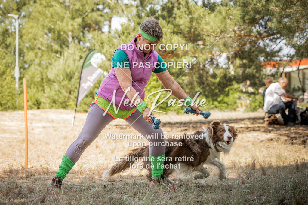 nelerasche_soDD3_170 | nelerasche