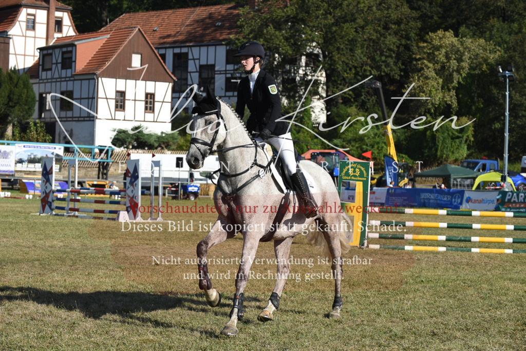 DSC_5268 | Pferde- und Turnierfotografie in Westsachsen. Pferdeportraits, Auftragszeichnungen und intuitive Kunst.
