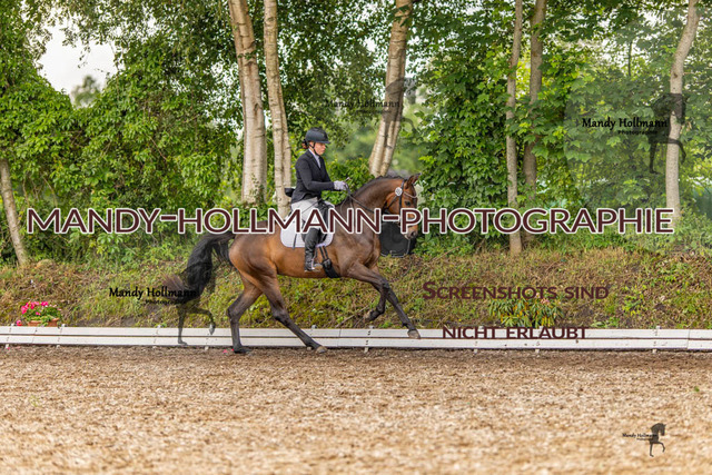 RPF 4 Filsum (336 von 535) | mandyhollmannphotographie