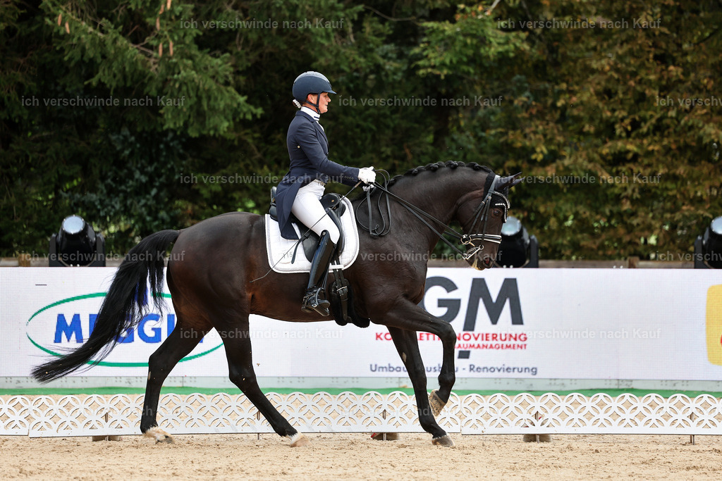 10-115-ST.GEORG SPECIAL -StoibPH-3196 | working equitationturnier fotograf videograf stoibphotography marixx film working equitation deutschland reitsport turnierfotografie eventfotografie equestrian events