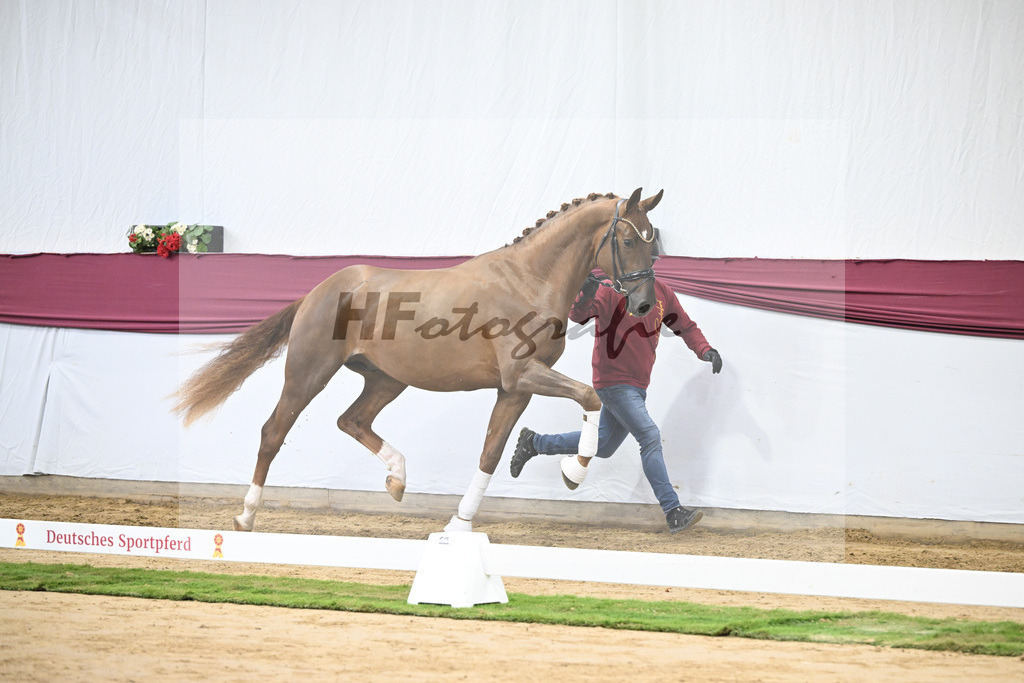 Kat-Nr. 52 Filox x Feinrich_Rothenberger Ventures GmbH_47251942 | hf-fotografie - Realisiert mit Pictrs.com