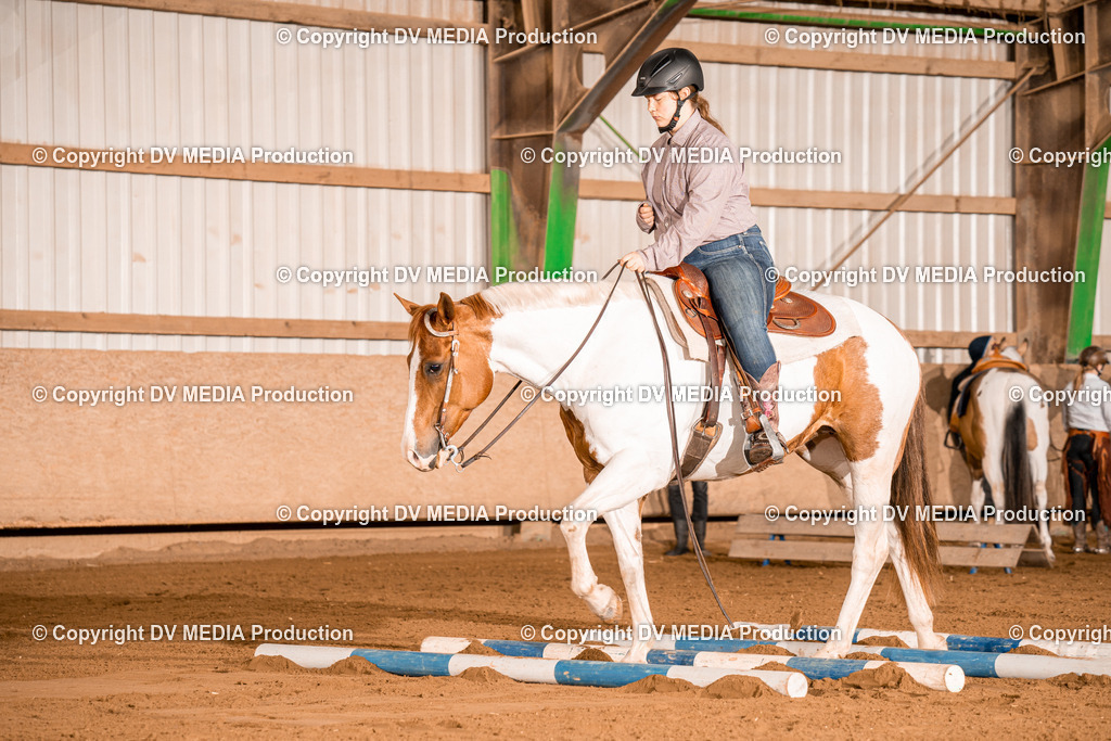 BA400277 | dv-media-shop - Realisiert mit Pictrs.com