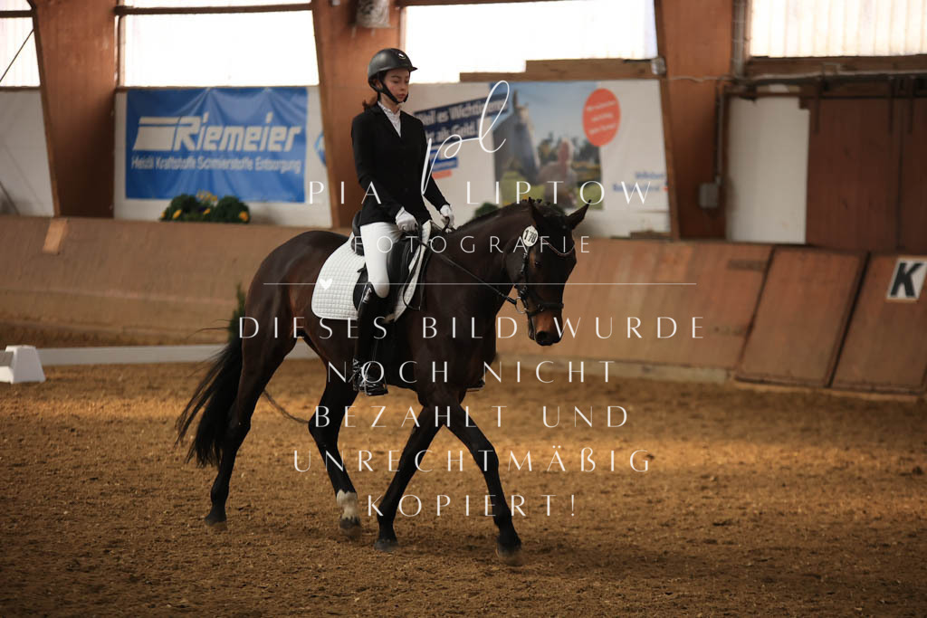 IMGT7483 | pl-fotografie