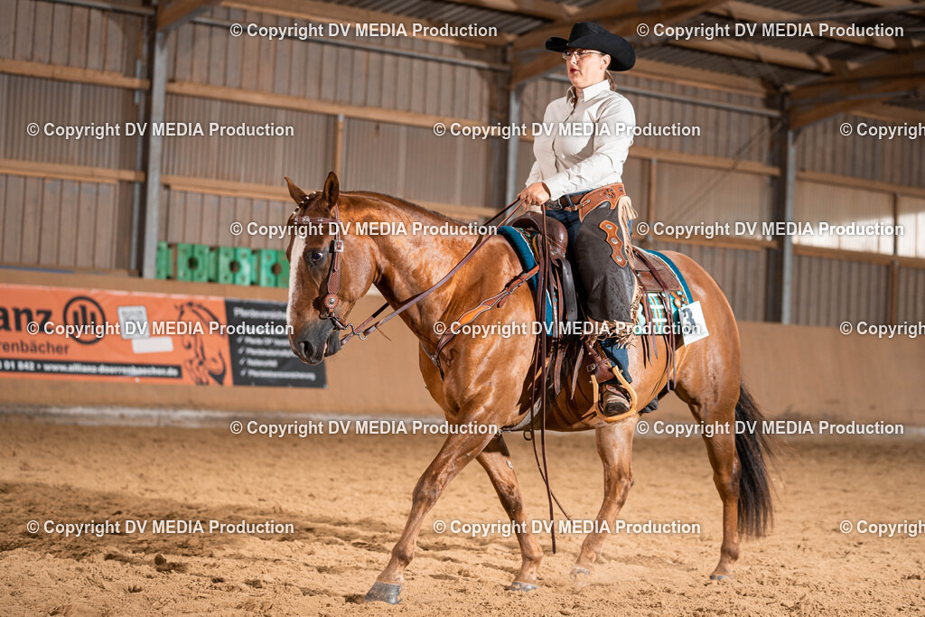 Losheim Tag 1-201 | dv-media-shop - Realisiert mit Pictrs.com