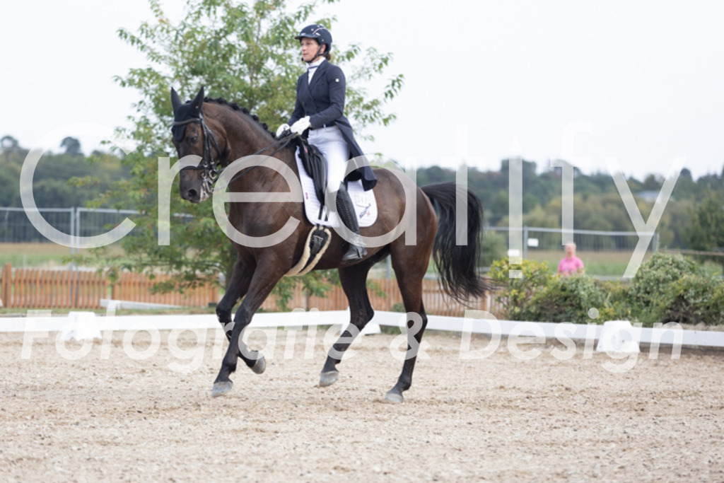 IMG_5016 | Creatify Fotografie