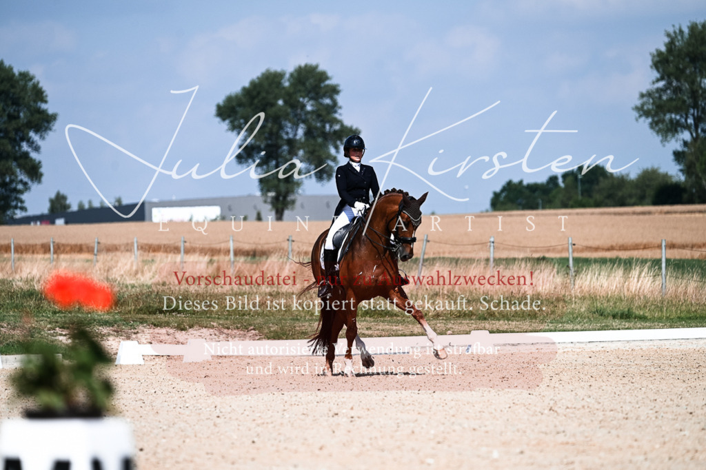 DSC_2843 | Pferde- und Turnierfotografie in Westsachsen. Pferdeportraits, Auftragszeichnungen und intuitive Kunst.