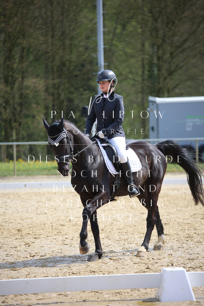 IMGT4740 | pl-fotografie