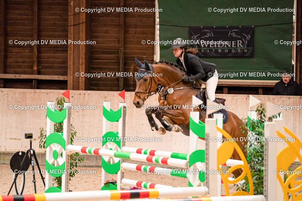 Springen Tag 1-379 | dv-media-shop - Realisiert mit Pictrs.com