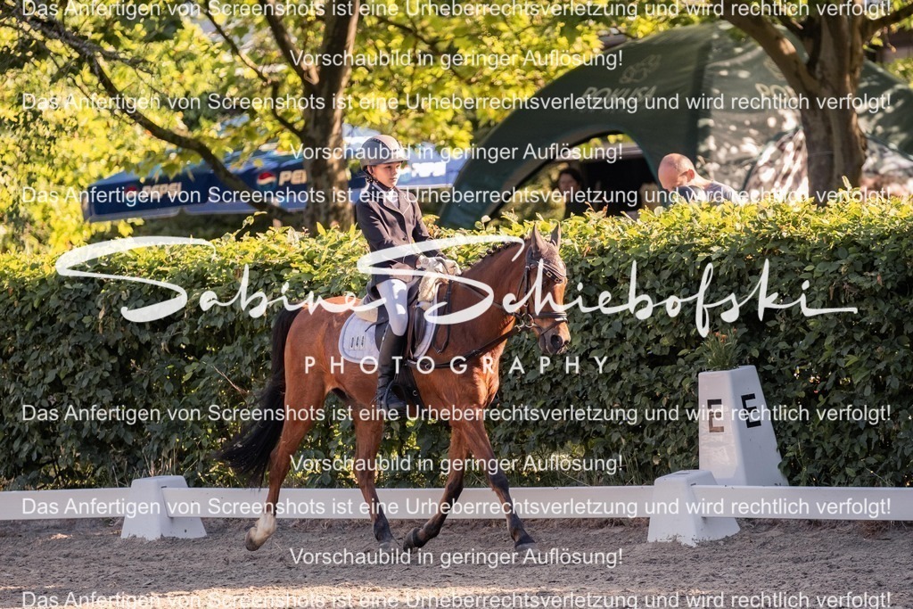 2025_05_31_DSCF2737 | People- und Tierfotografie, Imageaufnahmen, Veranstaltungsfotografie und Wandbilder aus der Natur ★ Made in Germany ✔️ Druck + Downloads ✔️ Naturfotografie in Top Qualität ★ schneller Versand, weltweite Lieferung! - Realisiert mit Pictrs.com