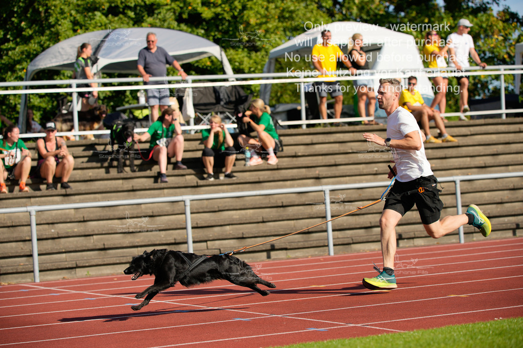 Sonntag_Staffel (249 von 336) | stephaniefillaphotographie - Realisiert mit Pictrs.com