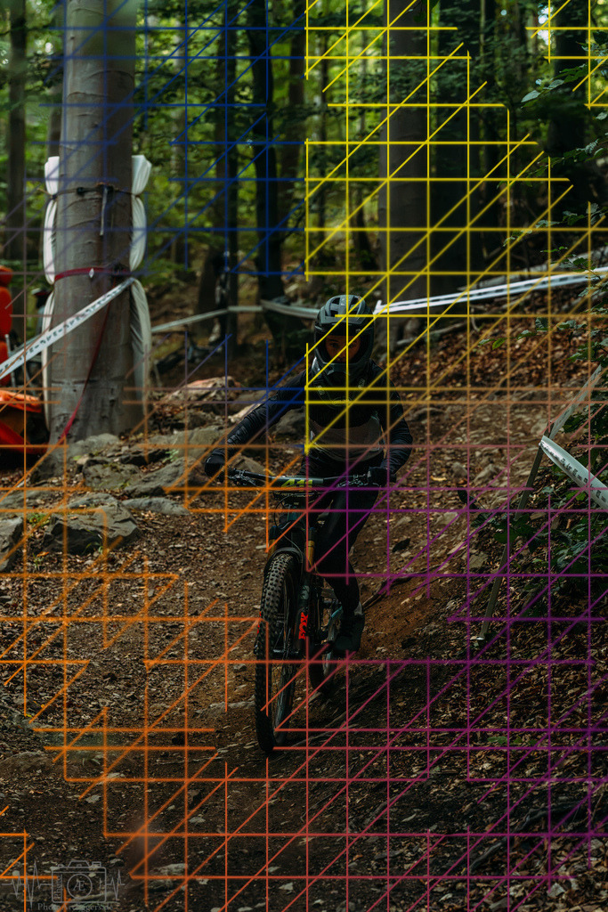PAE-1286 | Einzigartige Fotokunst für dein Zuhause: Entdecke hochwertige Wandbilder, edle Prints und emotionale Motive von Wildlife, Natur und Landschaften - Realisiert mit Pictrs.com