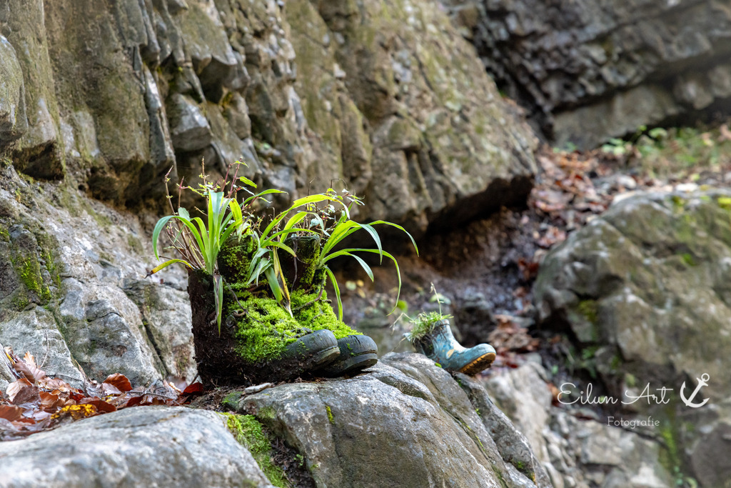 20241102-EAF_5524 | Eilun-Art-Fotografie Levke Martens, ihre Fotografin für Immobilien- und Landschaftsfotografie auf Föhr, Föhrer Motive als Poster, Leinwand, hinter Acrylglas oder stelle dir deinen eigenen Monatskalender zusammen, mit nur einem Klick