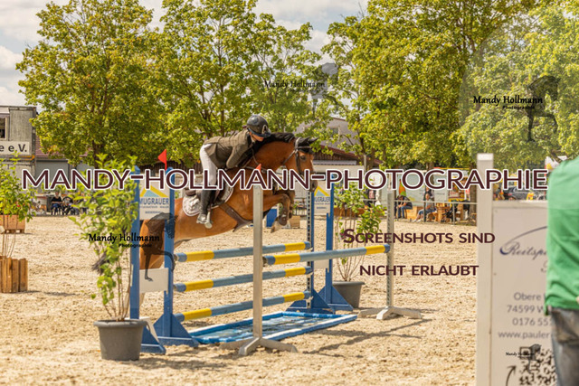 26-7-23 SPR A++-402 | mandyhollmannphotographie