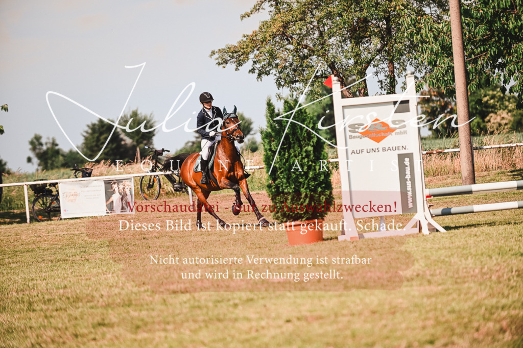 DSC_7356 | Pferde- und Turnierfotografie in Westsachsen. Pferdeportraits, Auftragszeichnungen und intuitive Kunst.