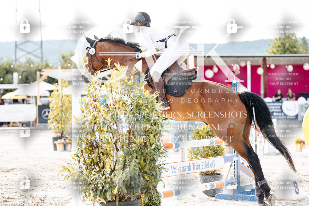 CK906657 | Turnierfotografie Pferdefotografie Trier Rheinland-Pfalz Pferdesport Reitsport Tierfotografie Sportfotografie Pferdevideo Pferdevideografie Equestrianvideography equestrianphotography  - Realisiert mit Pictrs.com