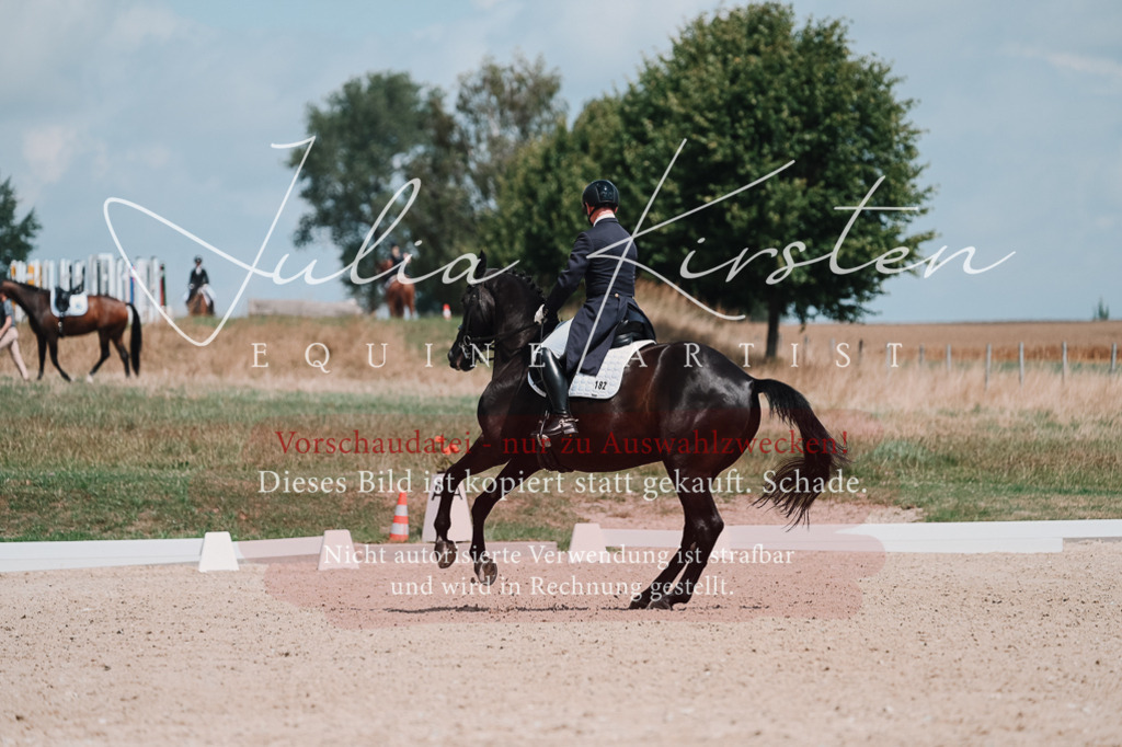 DSC_4027 | Pferde- und Turnierfotografie in Westsachsen. Pferdeportraits, Auftragszeichnungen und intuitive Kunst.