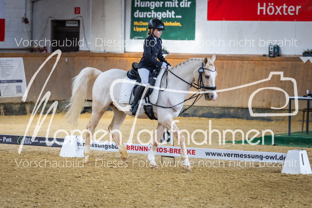 _M2A1753 | MomenTaufnahmen Pferdesportfotos