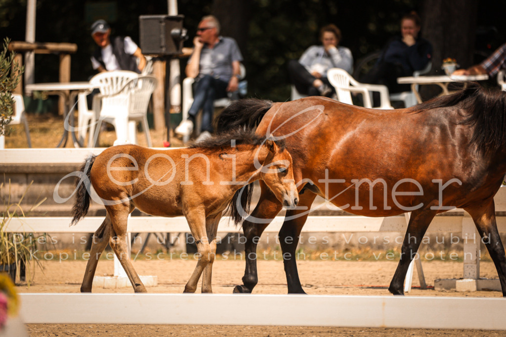 02.DoSR00049 | Leoni Ertmer Photography - Realisiert mit Pictrs.com