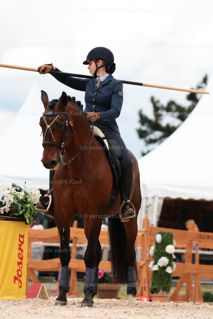 PI26_ST_StoibphotographyC2_L8861.JPG | working equitationturnier fotograf videograf stoibphotography marixx film working equitation deutschland reitsport turnierfotografie eventfotografie equestrian events