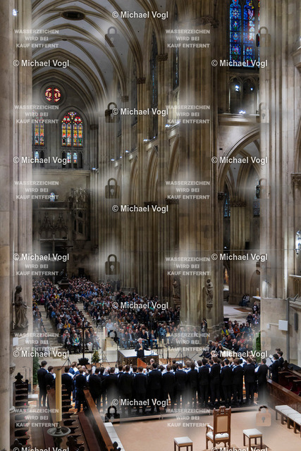 TAM25_K.01__Michael-Vogl_018_3676 | Tage Alter Musik Regensburg K.00 Dom St. Peter Regensburger Domspatzen La Cetra Basel (Schweiz) 1050 Jahre Regensburger Domspatzen 500. Geburtstag Giovanni Pierluigi da Palestrina Leitung Christian Heiß Foto: Michael Vogl
