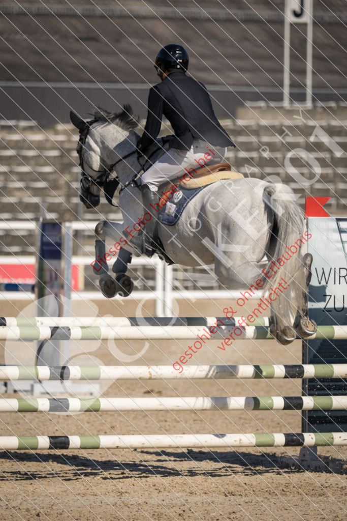 IMG_3150 | Sport-, Event- und Tierfotos in Profiqualität. Einfach auswählen, bestellen und herunterladen. Dein Moment – perfekt festgehalten.