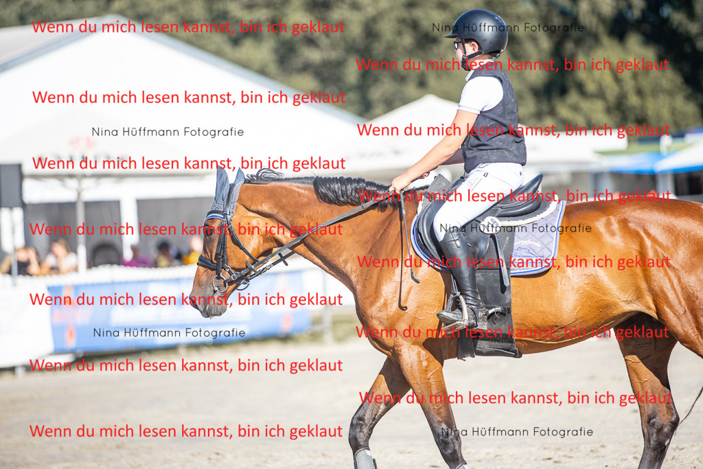 BK1A7404 | Turnierbilder Turnierfotos Nina Hüffmann Turnierfotografie Pferdefotografie Tierzeichnung Haustierzeichnung Pferdezeichnung Hundezeichnung Videograf  - Realisiert mit Pictrs.com