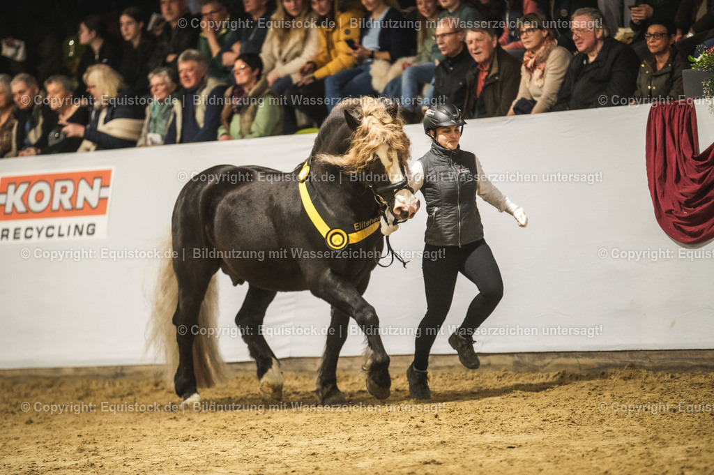 20240302_Hengstvorstellung_Marbach_TOMsPiC_0597 | equistock