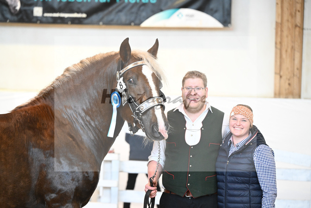 Kat-Nr. 8 v. Valegro_Glonecker_6240202 | hf-fotografie - Realisiert mit Pictrs.com