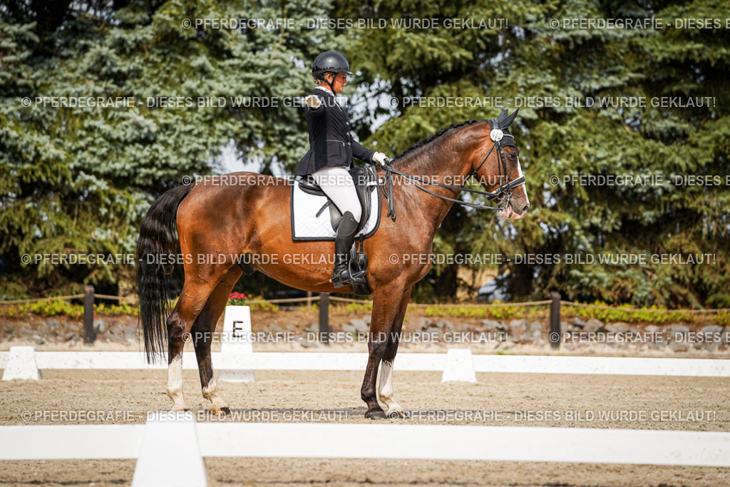 DSC06536 | Pferdegrafie