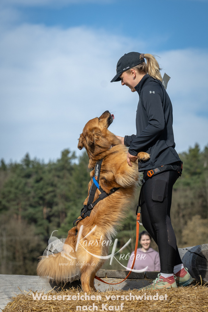 0956_ZZ97563 | kk-dogfotos