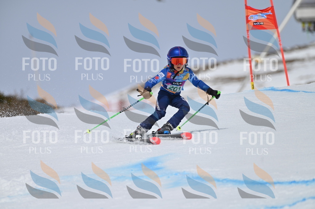 BGV_3871 | holidayphoto